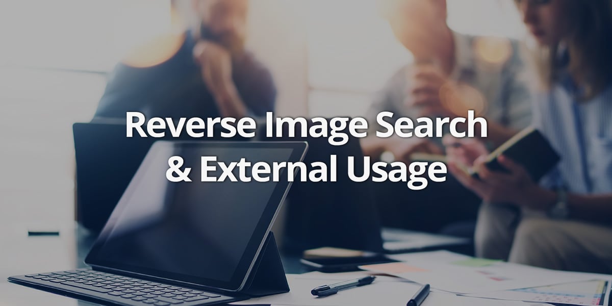 Reverse Image Search and External Usage